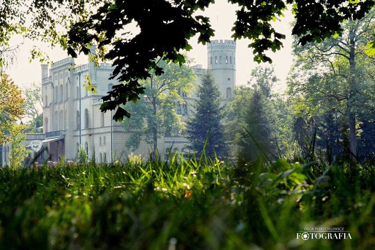 Dawny pałac Mycielskich i Czartoryskich z 1854 r./ ob. Ośrodek Integracji Europejskiej ROKOSOWO, ogród / park